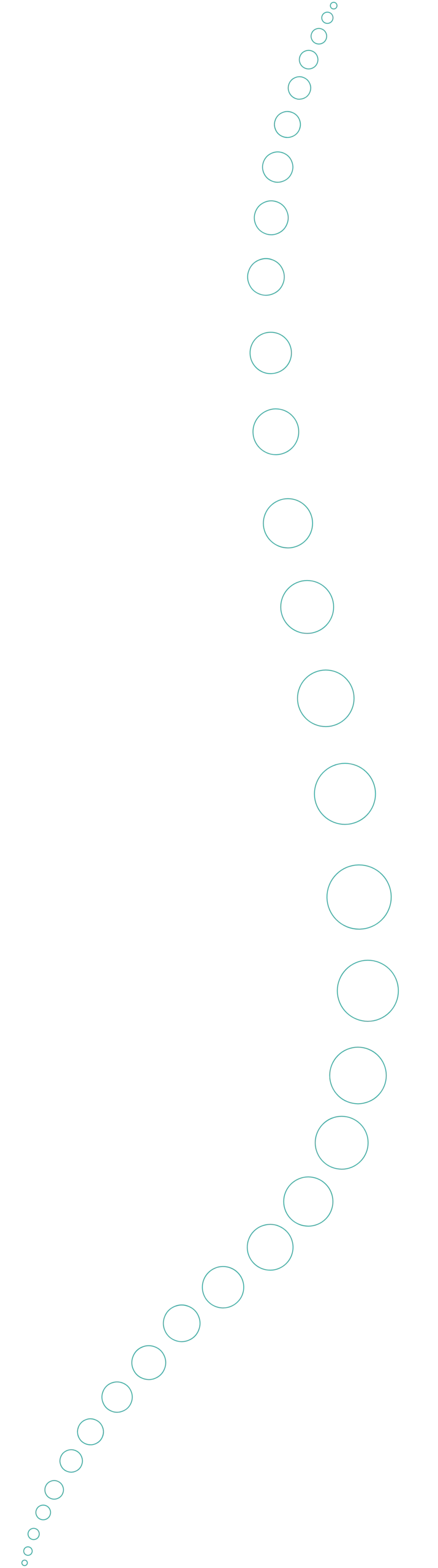 Atención Quiropráctica - Vive Activo Centro Quiropráctico